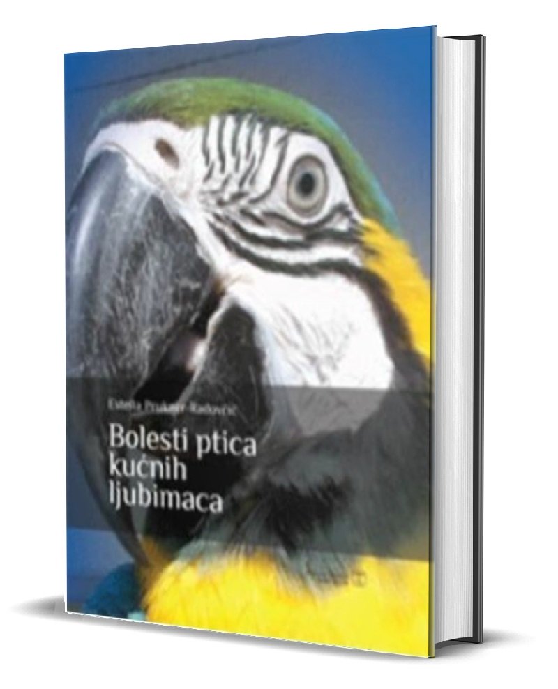 BOLESTI PTICA KUĆNIH LJUBIMACA