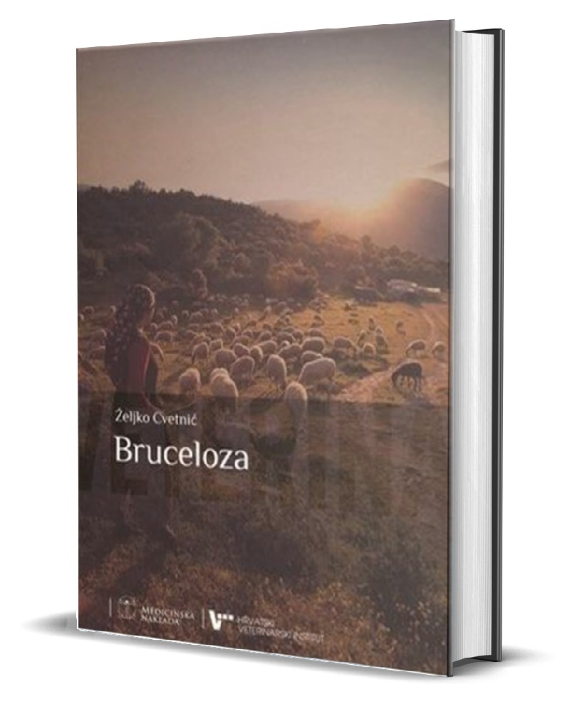 BRUCELOZA